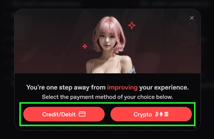 Payment option for Nectar AI