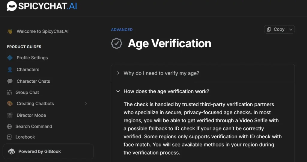 SpicyChat age verification