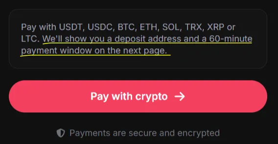 NudeAI.fun - 60 Minute Payment Window