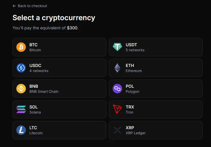 NudeAI.fun - Paying with Crypto