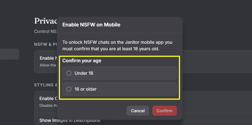 Janitor AI - Age Confirmation for NSFW toggle
